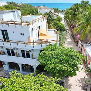 Casa Alkimia Town 2*, Isla Mujeres Mexique